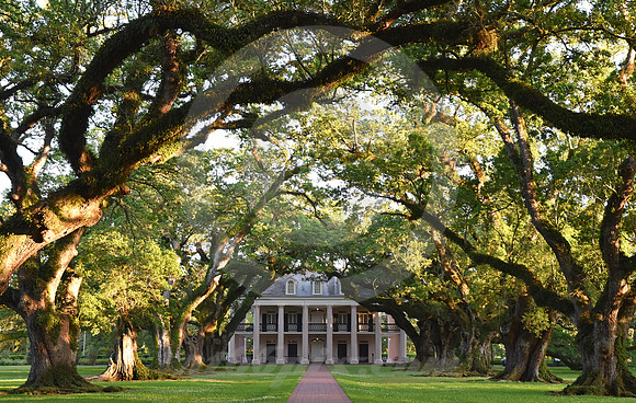 OAK ALLEY #112 (Vacherie LA)