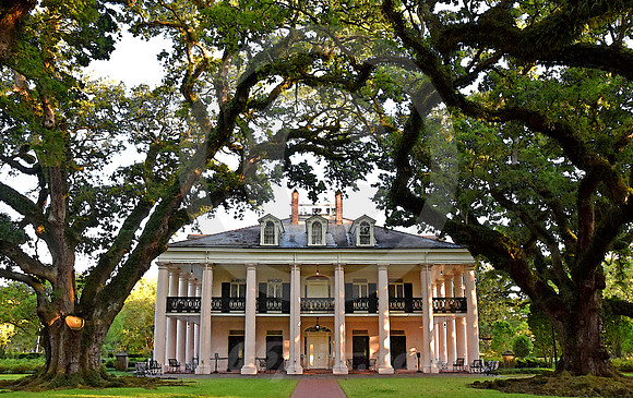 OAK ALLEY #113 (Vacherie LA)