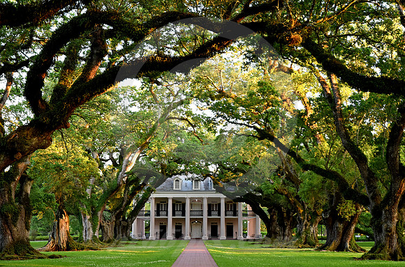 OAK ALLEY #114 (Vacherie LA)