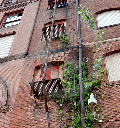 URBAN SCENE #18 (St Joseph MO)