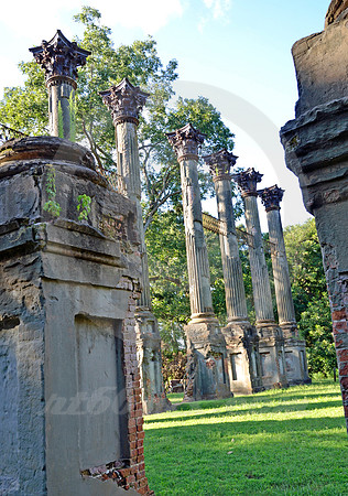 WINDSOR #9 (Natchez Trace nr Port Gibson MS)