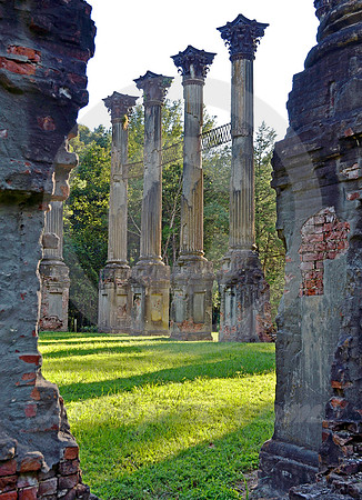 WINDSOR #10 (Natchez Trace nr Port Gibson MS)