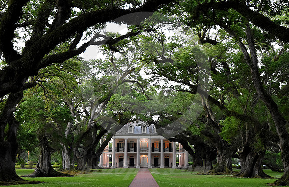 OAK ALLEY #118 (Vacherie LA)