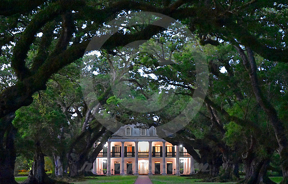 OAK ALLEY #116 (Vacherie LA)
