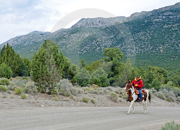 RE-RIDE #58 (Schellbourne Pass NV)