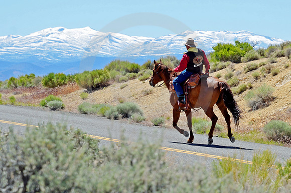RE-RIDE #55 (nr Austin NV)
