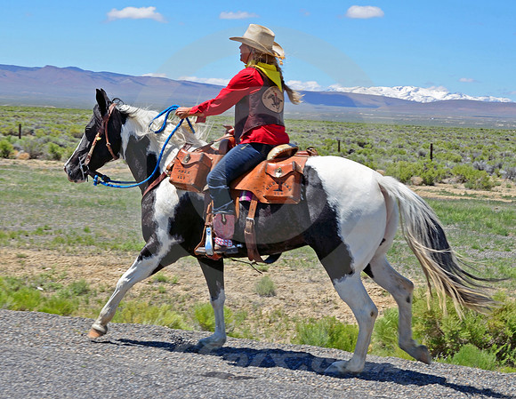 RE-RIDE #59 (nr Austin NV)