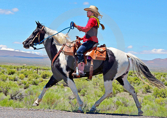 RE-RIDE #70 (nr Austin NV)