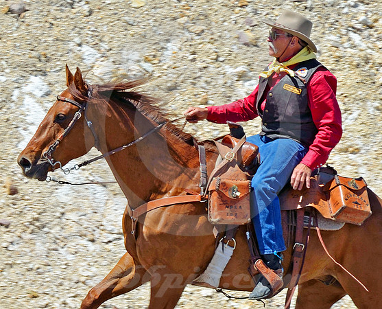 RE-RIDE #71 (nr Austin NV)