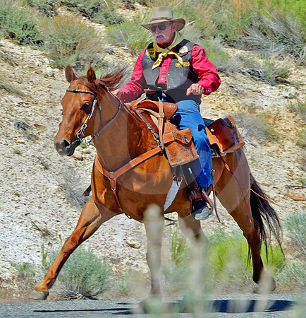 RE-RIDE #69 (nr Austin NV)