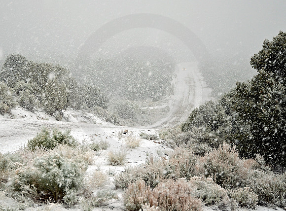 JUNE 12-DAWN (Lincoln Highway Schellbourne Pass NV)