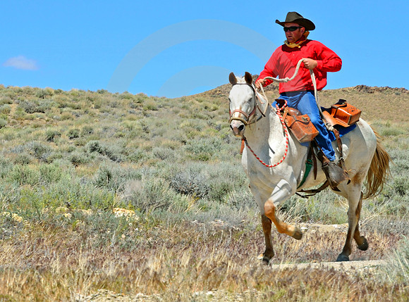 RE-RIDE #75 (nr Austin NV)