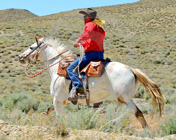 RE-RIDE #77 (nr Austin NV)