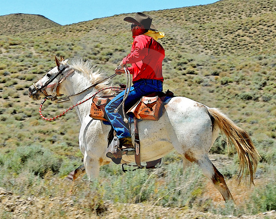 RE-RIDE #78 (nr Austin NV)