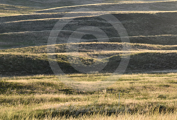SWALES & MARKER (nr Gering NE)