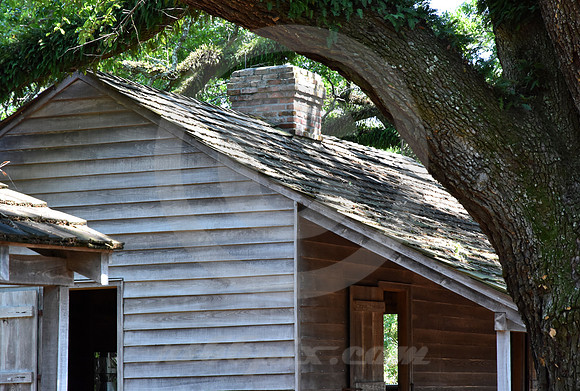OAK ALLEY #120 (Vacherie LA)