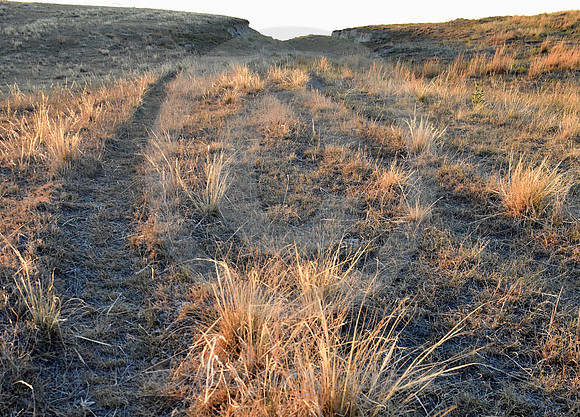CALIFORNIA HILL #5 (nr Brule NE)