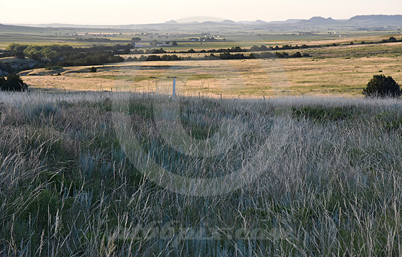 LOOKING BACK (nr Gering NE)