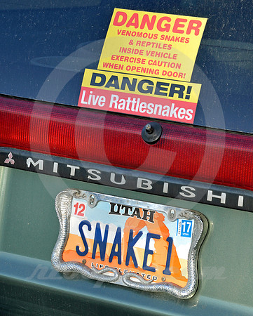 SNAKE 1 (Lincoln Highway Magna UT)