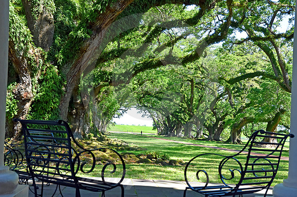 OAK ALLEY #124 (Vacherie LA)