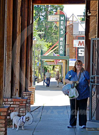COLFAX #3 (Lincoln Highway Colfax CA)