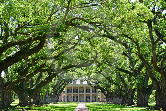 OAK ALLEY #127 (Vacherie LA)