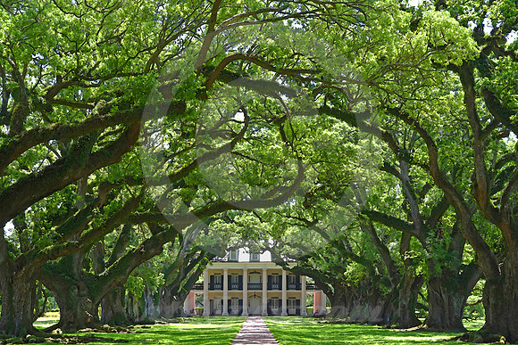 OAK ALLEY #128 (Vacherie LA)