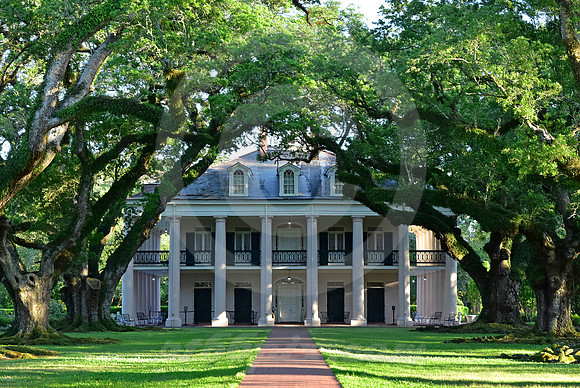OAK ALLEY #131 (Vacherie LA)
