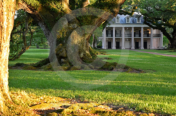 OAK ALLEY #133 (Vacherie LA)