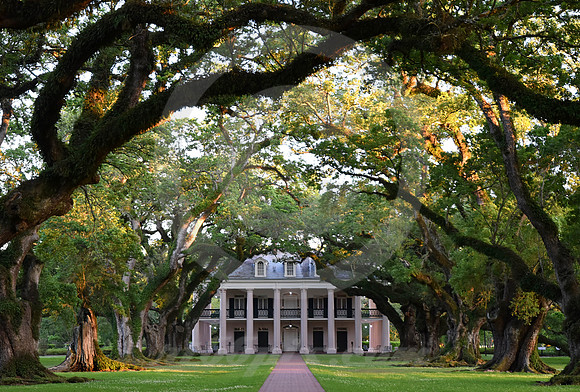 OAK ALLEY #134 (Vacherie LA)