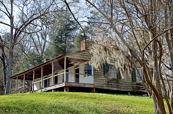 MOUNT LOCUST #1 (Natchez Trace nr Fayette MS)