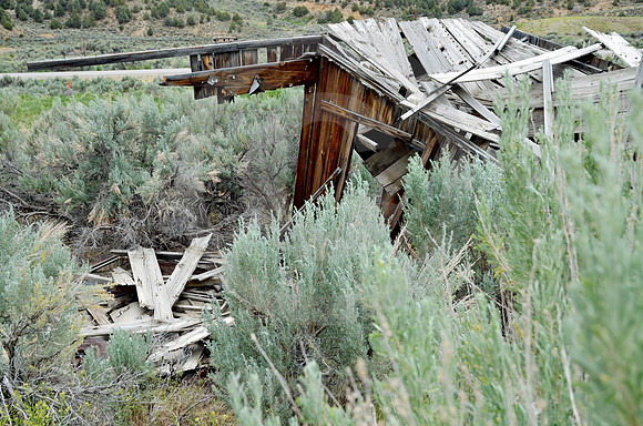 SHACK #4 (Lincoln Highway nr Ruth NV)