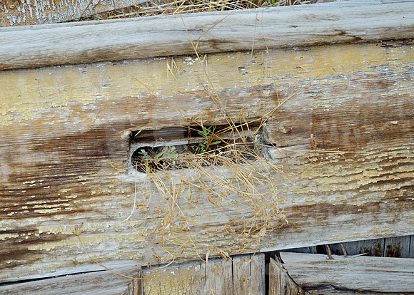 MAIL SLOT (Lincoln Highway Eureka NV)
