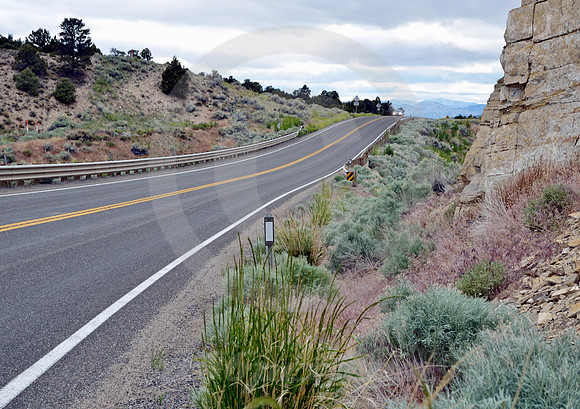 ONCOMING HEADLIGHTS (Lincoln Highway NV)