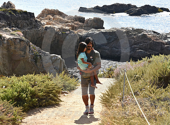 CALIFORNIA LIFE #193 (nr Monterey CA)