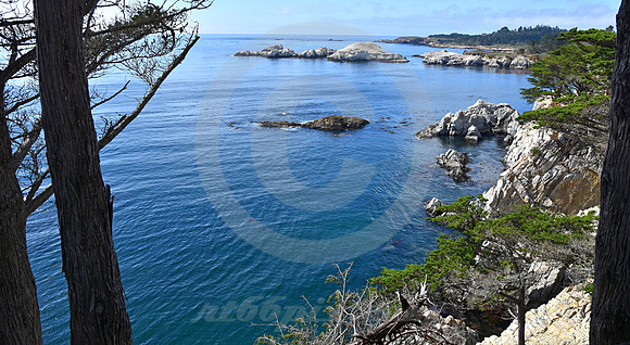 CALIFORNIA STYLE #336 (nr Monterey CA)