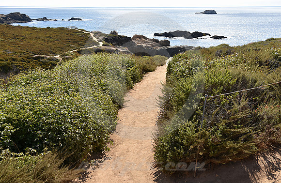 CALIFORNIA STYLE #338 (nr Monterey CA)