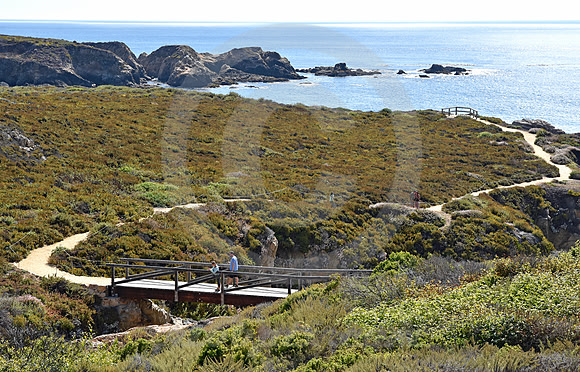 CALIFORNIA STYLE #339 (nr Monterey CA)