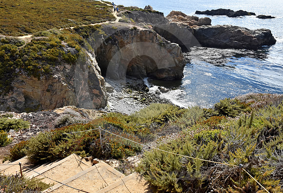 CALIFORNIA STYLE #340 (nr Monterey CA)