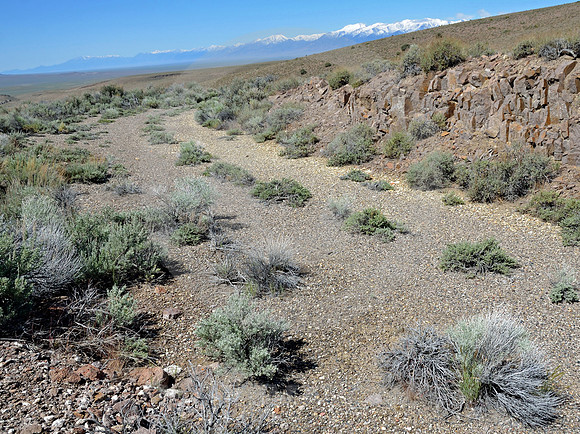 OLD ROAD #2 (Lincoln Highway nr Eureka NV)