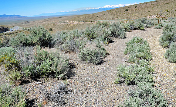 OLD ROAD #3 (Lincoln Highway nr Eureka NV)