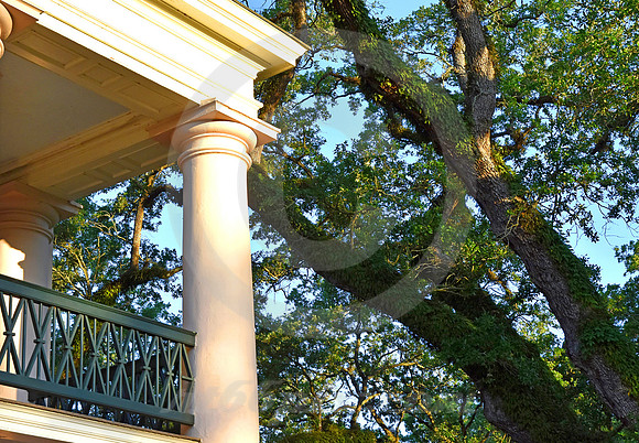 OAK ALLEY #145 (Vacherie LA)