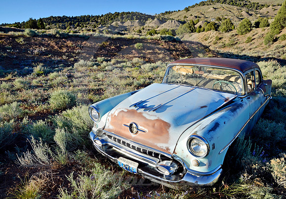 OLDSMOBILE #2 (Lincoln Highway Austin NV)