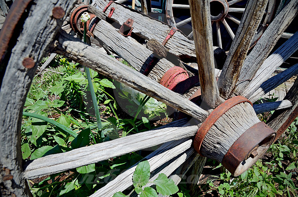 WHEELS IN WEEDS (Lincoln Highway Austin NV)