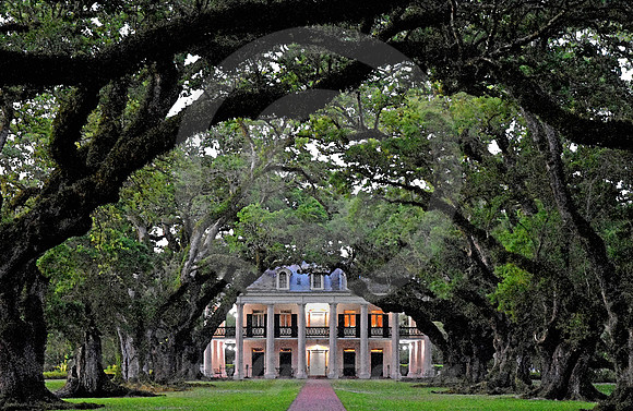 OAK ALLEY #146 (Vacherie LA)