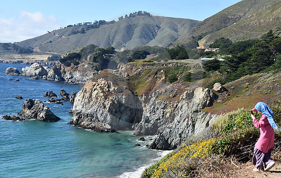 CALIFORNIA LIFE #195 (nr Monterey CA)