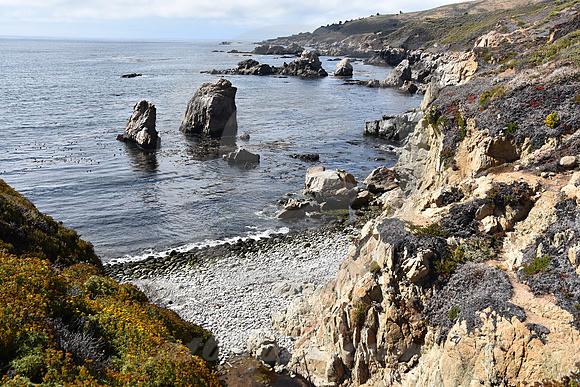 CALIFORNIA STYLE #341 (nr Monterey CA)