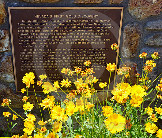 GOLD! (Lincoln Highway Dayton NV)