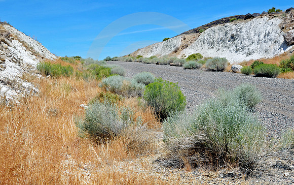 EASY CUT (Lincoln Highway nr Stagecoach NV)