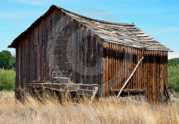 OLD BARN #2 (Lincoln Highway Lahontan Valley NV)
